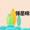 悌是啥意思（悌道是什么意思）
