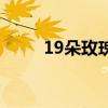 19朵玫瑰花代表啥（19朵玫瑰花）