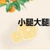 小腿大腿圍怎么量（大腿圍怎么量）