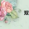 雙和歡簡介（雙和歡）