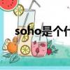 soho是個什么公司（soho是干什么的）