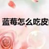 藍莓怎么吃皮能吃嗎（藍莓怎么吃用扒皮嗎）
