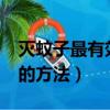 滅蚊子最有效的方法有哪些?（滅蚊子最簡單的方法）