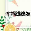 車禍逃逸怎么處罰（撞車逃逸怎么處罰）