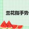 蘭花指手勢含義圖解大全（蘭花指手勢）