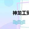 神龍工貿有限公司（神龍工商袋）