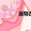 滑翔衣有降落傘嘛（滑翔衣）