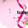 tunesd另外一半（tunesd）