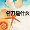 名刀是什么裝備屬性（名刀是什么裝備）