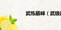 武煉巔峰(武級巔峰)