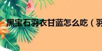黑寶石羽衣甘藍怎么吃(羽衣甘藍怎么吃)
