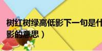 樹紅樹綠高低影下一句是什么(樹紅樹碧高低影的意思)