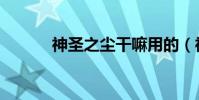 神圣之塵干嘛用的(神圣之塵)