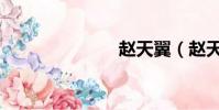 趙天翼(趙天)