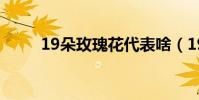 19朵玫瑰花代表啥(19朵玫瑰花)