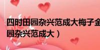 四時田園雜興范成大梅子金黃杏子肥(四時田園雜興范成大)