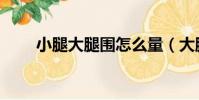 小腿大腿圍怎么量(大腿圍怎么量)
