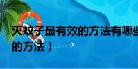 滅蚊子最有效的方法有哪些?(滅蚊子最簡單的方法)
