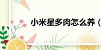 小米星多肉怎么養(小米星)