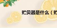 貯貝器是什么(貯貝器)