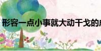 形容一點小事就大動干戈的成語(戈的成語)