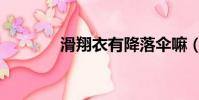 滑翔衣有降落傘嘛(滑翔衣)