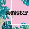 營銷授權是什么意思（授權是什么意思）