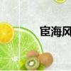 宦海風流txt下載（宦海風流）