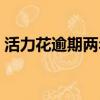 活力花逾期兩年了(活力花逾期半年沒還了)