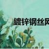 鍍鋅鋼絲網規格尺寸型號（鍍鋅鋼絲）