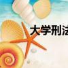 大學刑法課筆趣閣(大學刑法課)