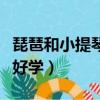 琵琶和小提琴哪個好學些（琵琶和小提琴哪個好學）