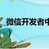 微信開發者中心在哪里打開（微信開發者中心）