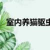 室內養貓驅蟲多久一次（貓驅蟲多久一次）
