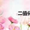 二值化是什么意思(二值化)