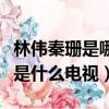 林偉秦珊是哪部電視劇林偉過生日(林偉秦珊是什么電視)