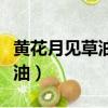 黃花月見草油涂抹可以去風濕嗎(黃花月見草油)