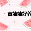 吉娃娃好養嗎?掉毛不（吉娃娃好養嗎）