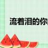 流著淚的你的臉歌詞(流著淚的你的臉)