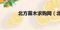 北方苗木求購網(北方苗木)