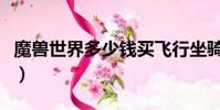 魔獸世界多少錢買飛行坐騎(魔獸世界多少錢)