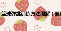 籃球彈跳訓練方法圖解(籃球彈跳訓練方法)