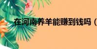 在河南養羊能賺到錢嗎(河南養羊吧)