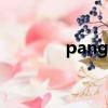 pangaea 盤古（pangaea）