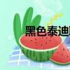 黑色泰迪取名寓意好的（黑色泰迪）