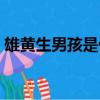 雄黃生男孩是什么原理（雄黃生男孩的原理）