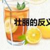 壯麗的反義詞怎么寫（壯麗的反義詞）