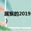 屬猴的2019年運勢如何（屬猴的2019有一難）