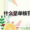 什么是單核苷酸多態性（單核苷酸多態性）