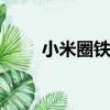 小米圈鐵耳機pro（小米圈鐵耳機）